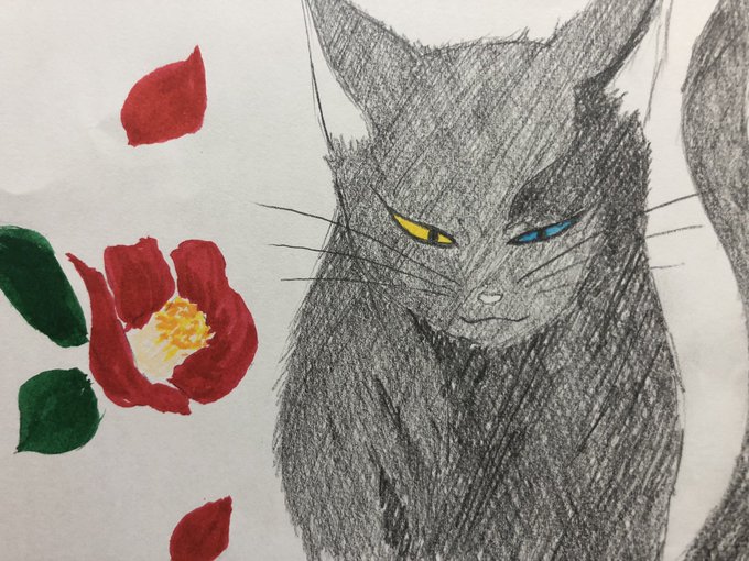 学校の怪談 天邪鬼 アナログ 天邪鬼を超えるイケ猫とはもう出会えない気が げんぱち 救いは大自然と幻覚の中だけ あと睡眠のイラスト 学校の怪談 天邪鬼 アナログ 天邪鬼を超えるイケ猫とはもう出会えない気が げんぱち 救いは大自然と幻覚の中だけ あと睡眠のイラスト