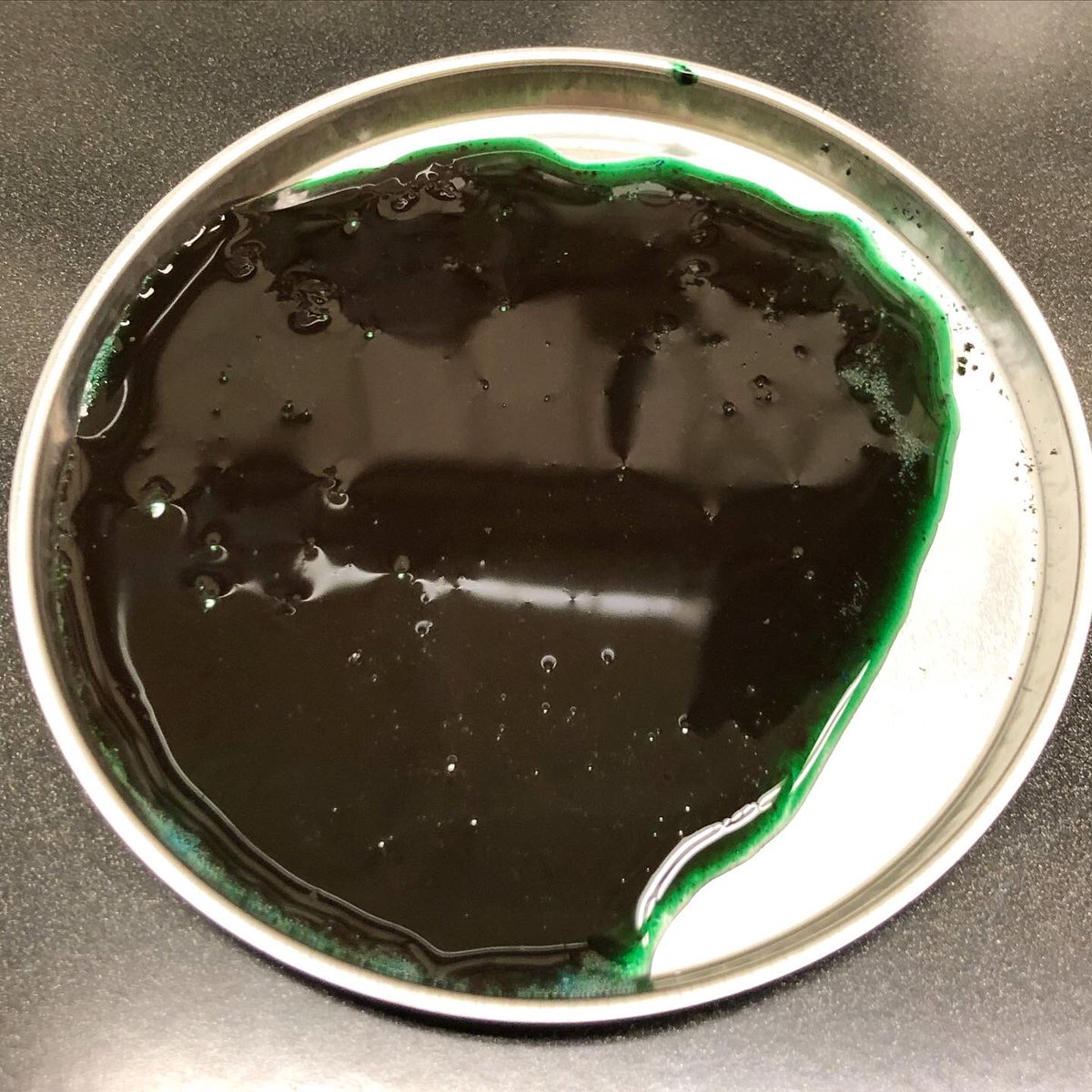 We are following up yesterdays update with the latest tests! Here we have micro algae/spirulina. The algae started with a dry solid content of less than 2-3 % and was dewatered and dried to 93,6 % in a very short time! 
#microalgae #spirulina #dryingtechnology #aquaculture