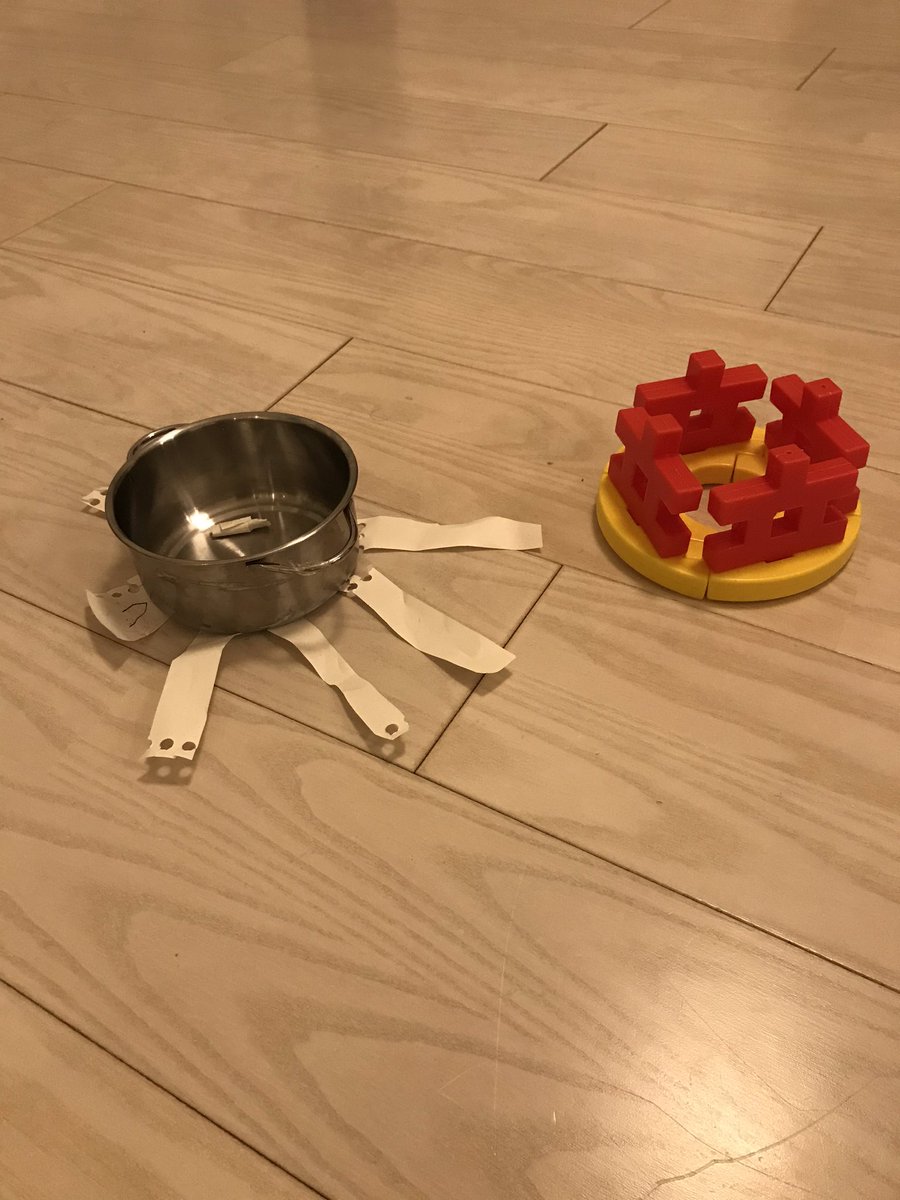 息子が作ったウェルウィッチアとオオオニバスです 