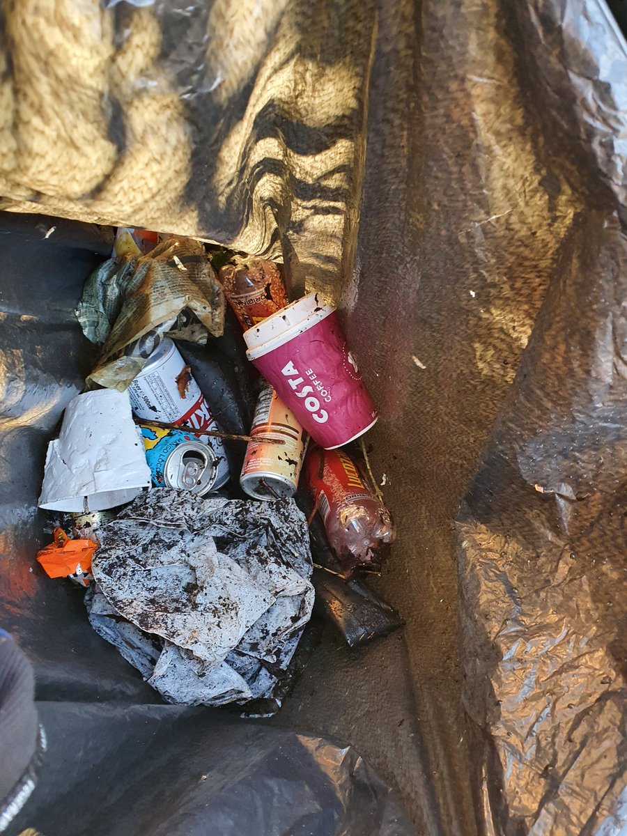 StVConservation's tweet image. All this from a small wood at the top of wardmill road Arbroath  . I've no doubt wildlife will be living in a better place in the coming months.@AngusCouncil #Litter #PlasticNotFantastic #Conservation