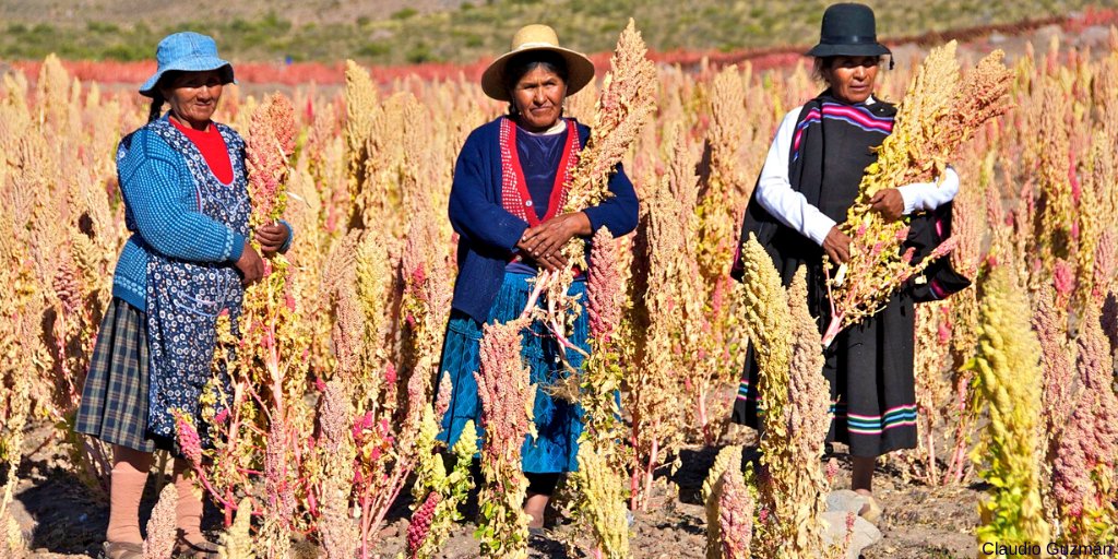 FAOForestry's tweet image. “It is imperative that #mountains are included in the post-2020 global biodiversity framework,” #FAOs Yuka Makino bit.ly/2W2MdKI @UNmountains @UNBiodiversity #MountainsMatter #Biodiversity2020