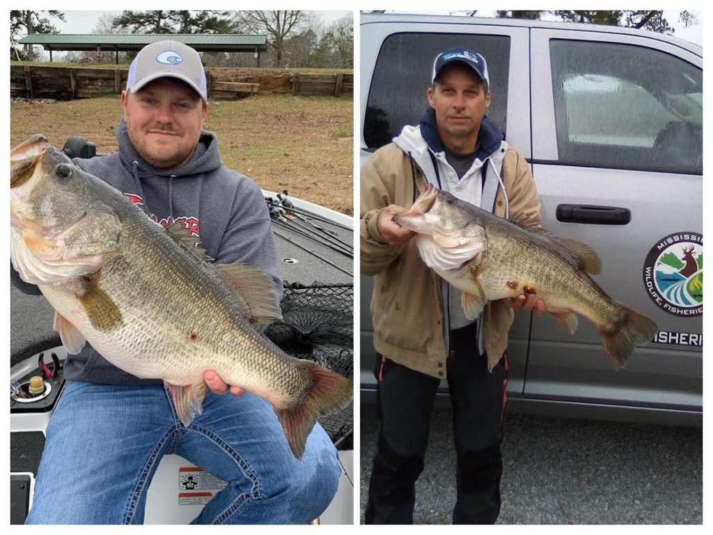 Separate Bass Caught on Same Day Tie for New Lamar Bruce Record lakerecord.net/2020/02/25/sep…