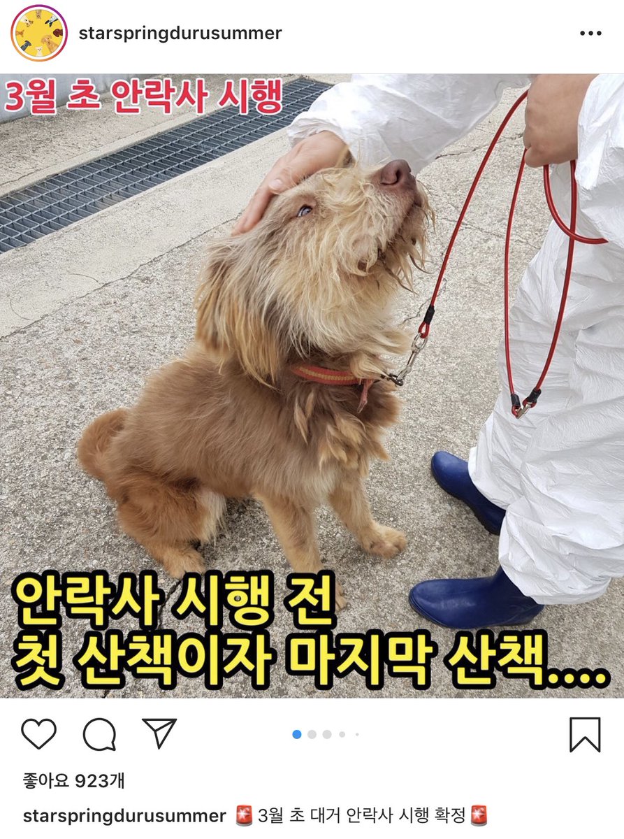 INMADIHAN's tweet photo. 제발 RT만이라도 부탁드려요....🙏🙏🙏 급합니다.... https://t.co/v2TJFmyExm