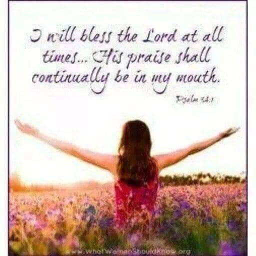 ChandaMoon3's tweet image. 