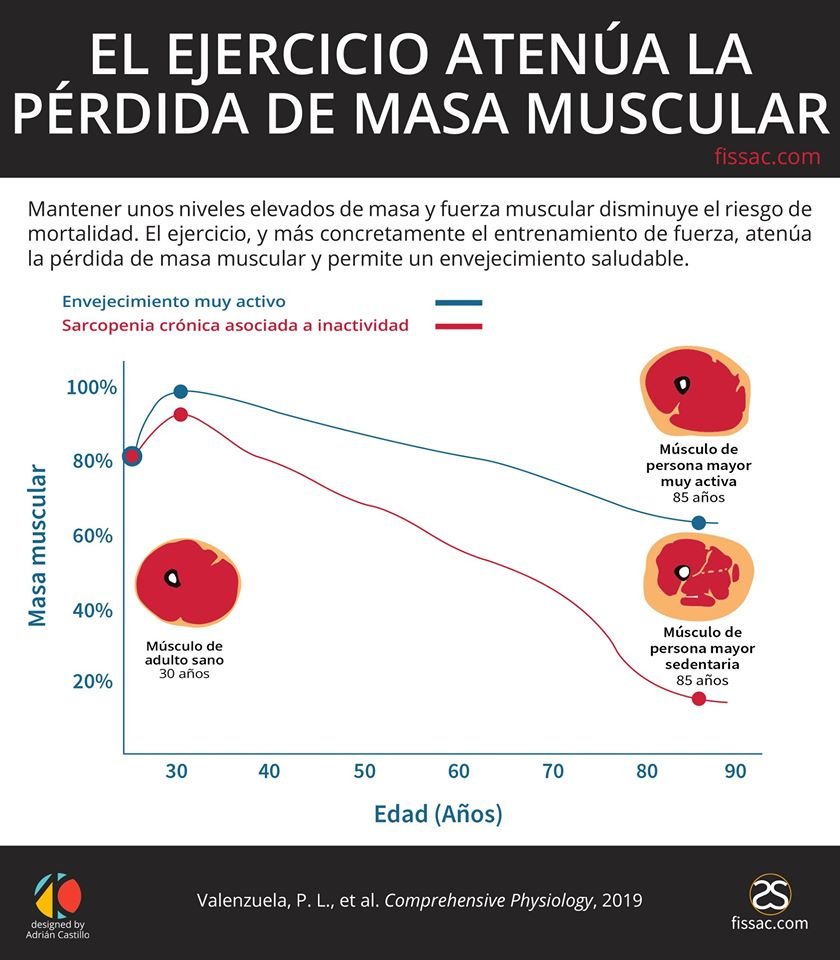 Fissac_es's tweet photo. 🚨En una revisión que hemos publicado @Fissac_es en colaboración con investigadores como Mikel Izquierdo y Alejandro Lucia, reunimos la evidencia respecto a los beneficios que el ejercicio físico proporciona en los más mayores y los principales mecanismos fisiológicos implicados. https://t.co/SRZ8zGZp7G
