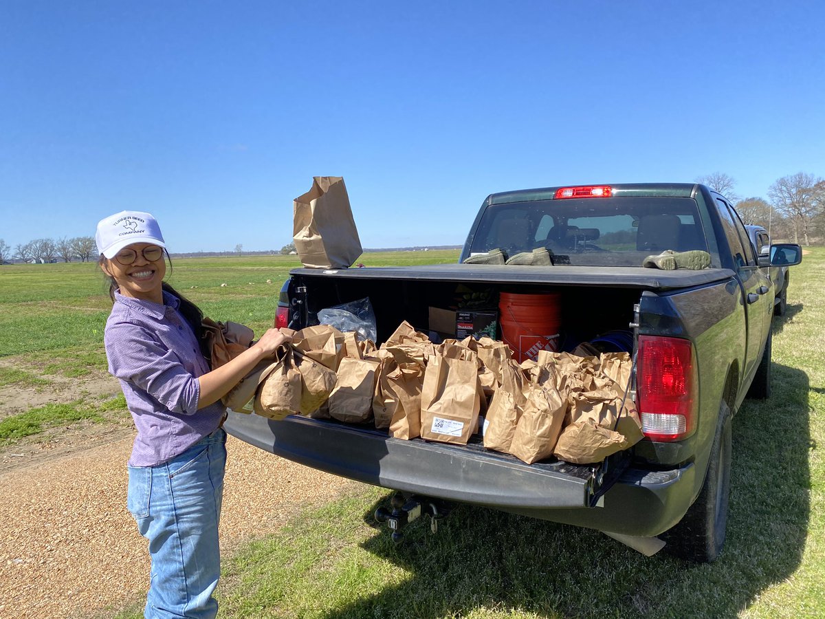 80 plots done. 80 to go. #SouthernCoverCrops legume seeding rate trial.