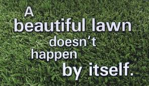 sam_landscape's tweet photo. You can rest assured the work is done right the first time time at Sam I Am Lawn &amp; Landscape 727-461-0240 #Landscapedesign #Landscaping #Landscaper #LandscapingService #LawnMaintenance #lawncareservices #lawnservices #lawncare https://t.co/xPuKHjTKdo