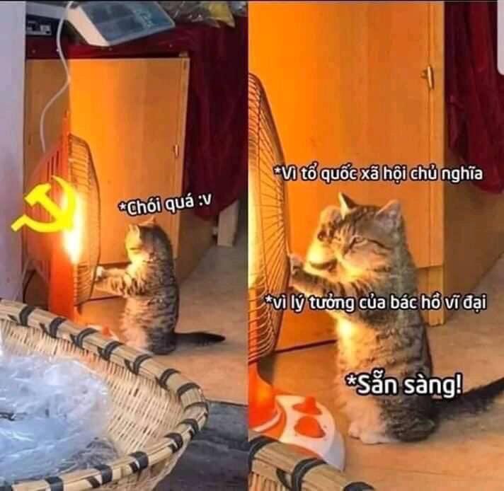 jekyll_cheries's tweet photo. We need apologies! 🇻🇳
#ApologizeToVietnam 
#COVID19 https://t.co/Rl7VcMKGaP