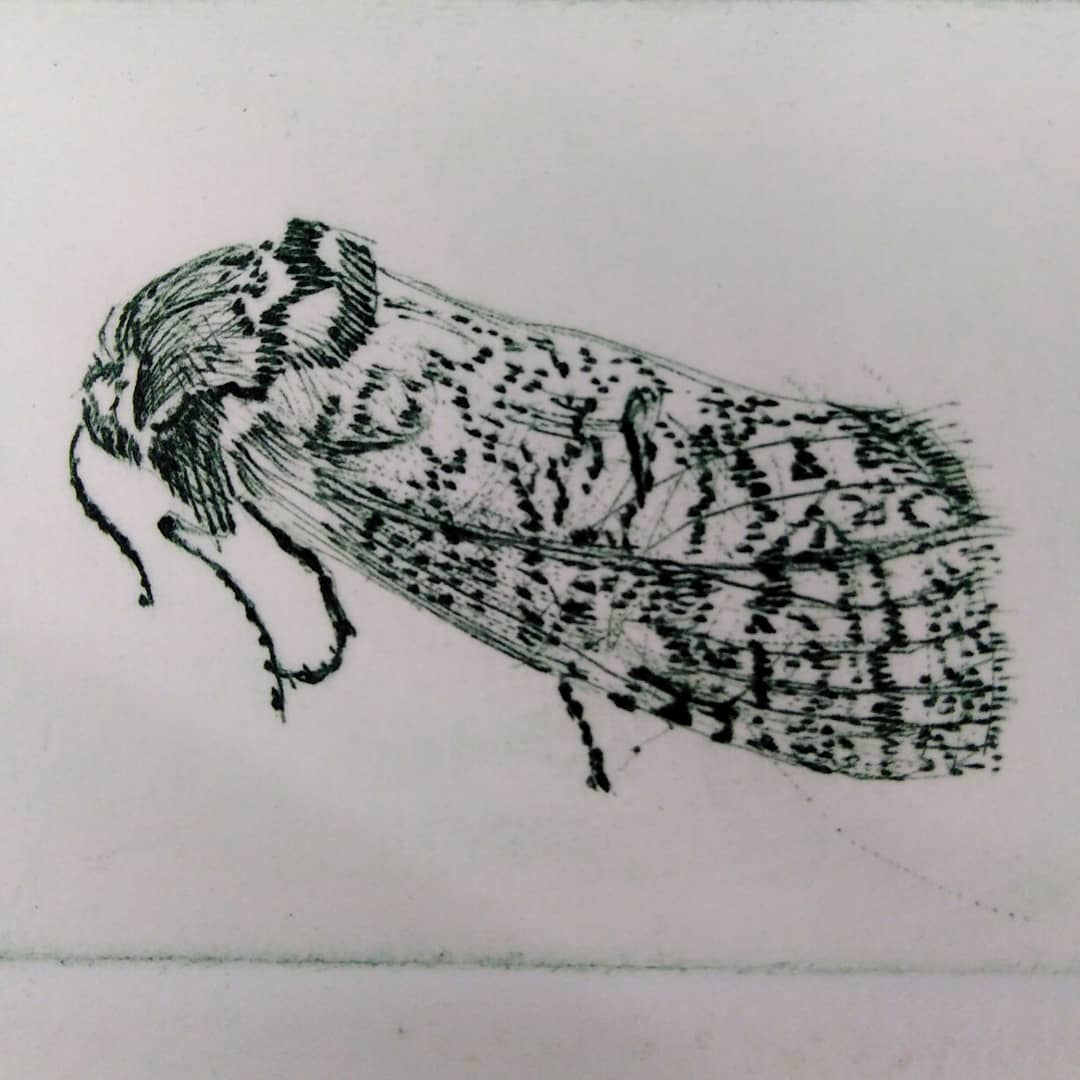 DoubleElephant's tweet photo. March 28 Drypoint day.
Not any-old Drypoint day, but Drypoint & Carborundum! A chance to add another dinamic to your Drypoint prints. How etching like can you get without actually etching? Creative workshop with @LynnBaileyPrint
#drypoint #carborundum #drypointworkshop #exeter https://t.co/RjlkxAULF4