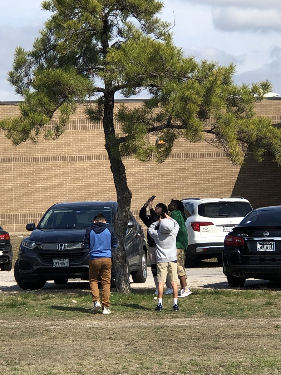 Hildebran_ArtRm's tweet photo. Photography outside today! Got some great pictures for STEAM. #Webb_Bears @Webb_Bears #WeAreWebb #GarlandUSA #VAPA #Art #teacher #artteacher #photography #middleschool https://t.co/akSlDzOGYp