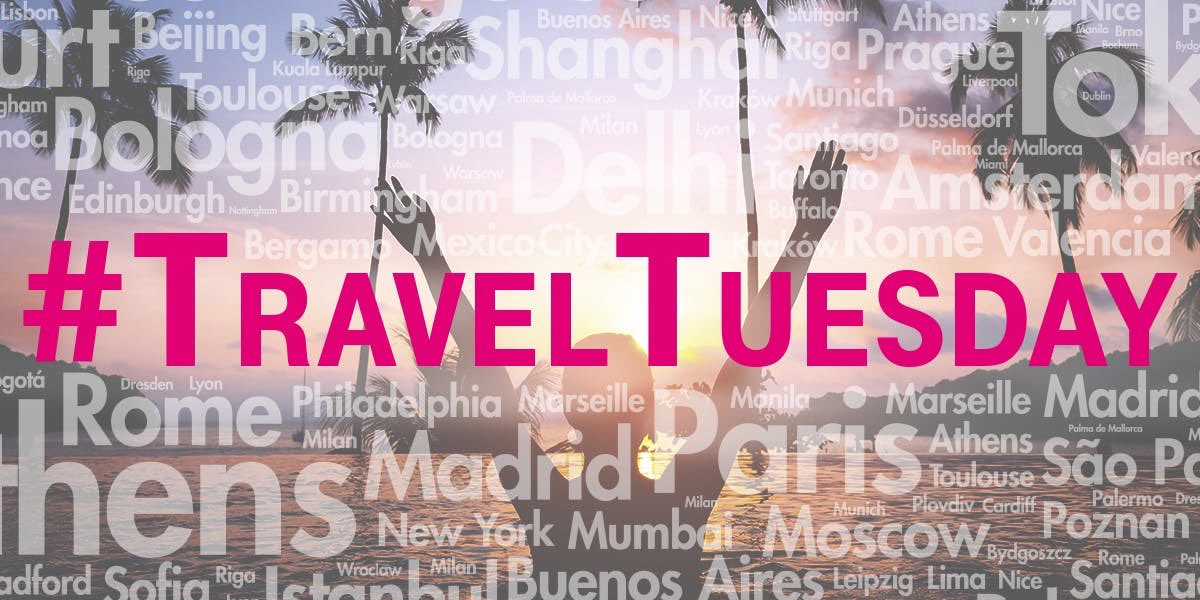 TMOtroy's tweet photo. Favorite place to travel? Ooooooou Florida baby 🏝🌊 ☀️ ! #takemeback #traveltuesday #tmo https://t.co/4StInmkKOV