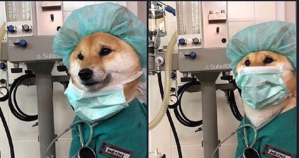 marrtta 🌼🌸 tweet media