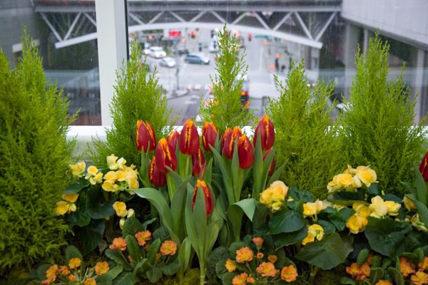 TasteTourist's tweet photo. About to head out on the media day tour at the Northwest Flower &amp; Garden show. Can’t wait! #springinfeb #nwfgs #springfever https://t.co/ZGjpi1c6cy