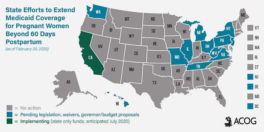 ACOGAction's tweet photo. NEW: We’ve updated our @acog map tracking state efforts to extend #Medicaid beyond 60 days after the end of pregnancy. There has already been a lot of state activity in 2020, and there’s more to come. Stay tuned! https://t.co/4ZiJdA1s8k