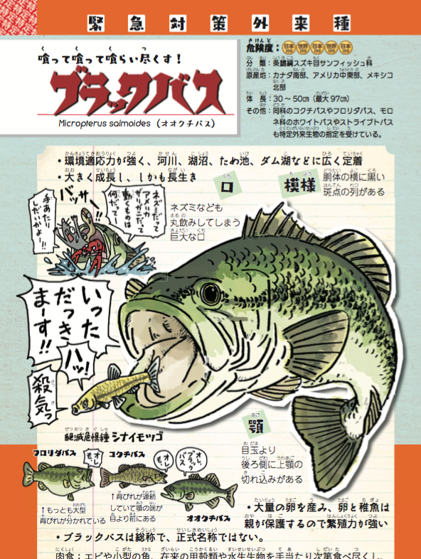 自然や生き物に対する意識が高い方がRTしてくださってるようなので宣伝ですが、外来種を持ち込んだ人間の業の歴史をまとめた

『侵略!#外来いきもの図鑑  もてあそばれた者たちの逆襲』https://t.co/I1NSzJmws8 ?好評発売中です。

総ルビで、漫画とイラスト満載です。 