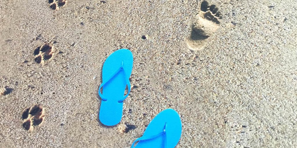 DominionPrint's tweet photo. Fun in the sun ☀️🏖️

Just kidding! We almost had you fooled for a moment! But these #floorgraphics here at #DominionHQ sure make us feel like we're soaking up the sunshine on holiday 🙌 https://t.co/9RdsR4lgrz