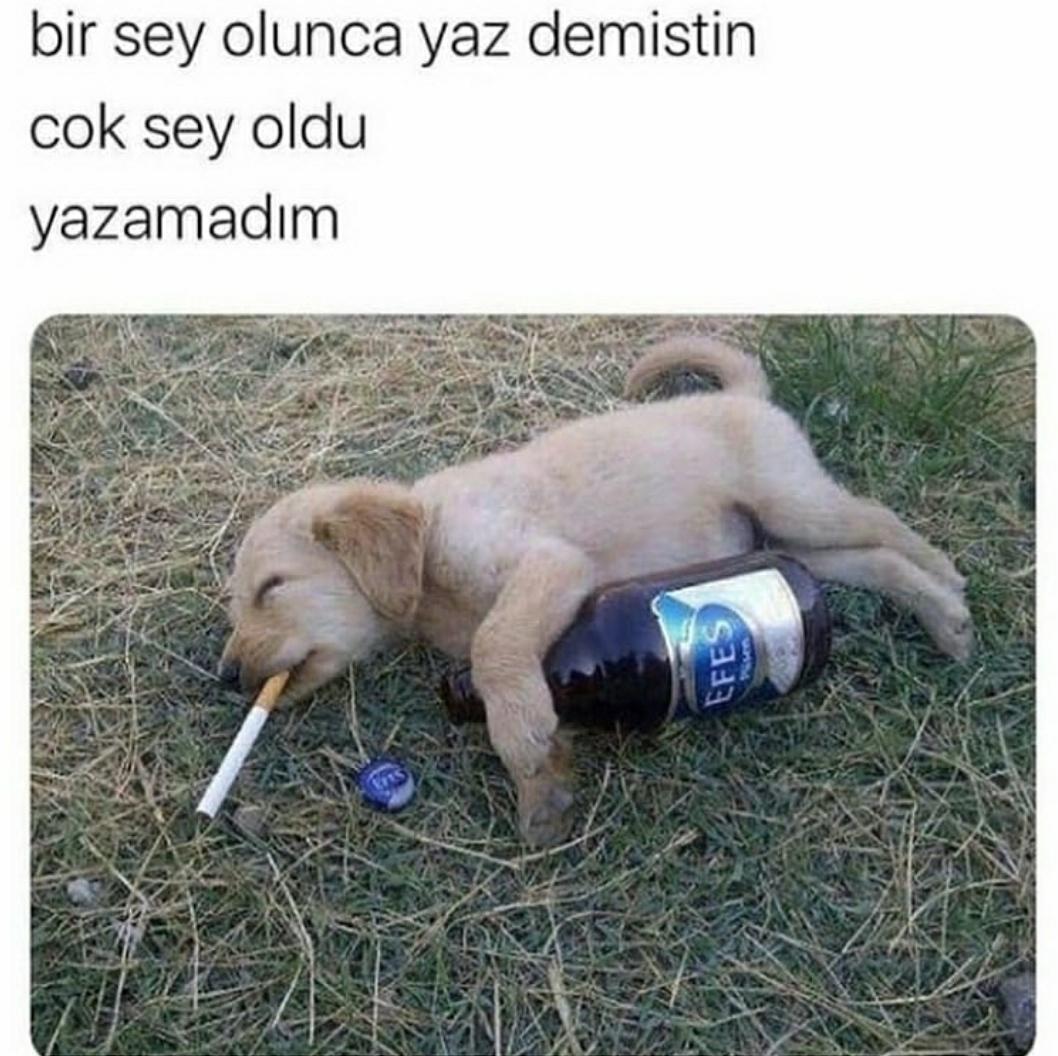 ADAMLARDA ÇOOK ŞEY OLUO BİZDE BOK ŞEY OLUYO