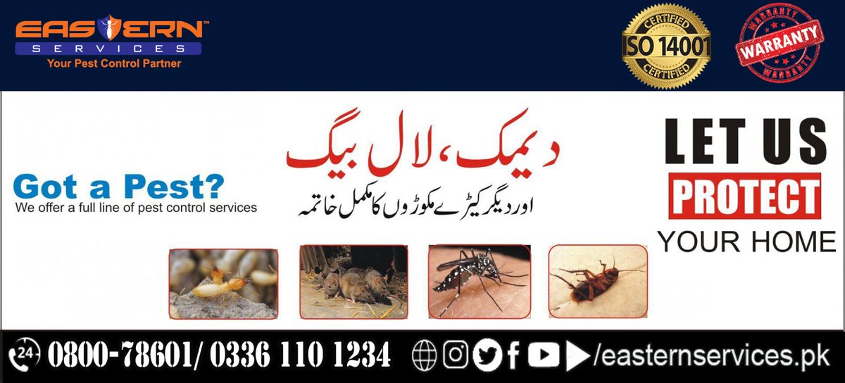 EasternService2's tweet photo. Fumigation (سپرے) for Cockroaches, DENGUE, Rats, All Flying & Crawling Insects Termite Proofing - دیمک کا خاتمہ گارنٹی کے ساتھ CALL 24/7: 0800-78601/0336 110 1234
#pestcontrol #Rodentcontrol #Postconstruction #woodtreatment #fumigation #Pestcontrol #Termite #TermiteProofing https://t.co/ahKeneZEos