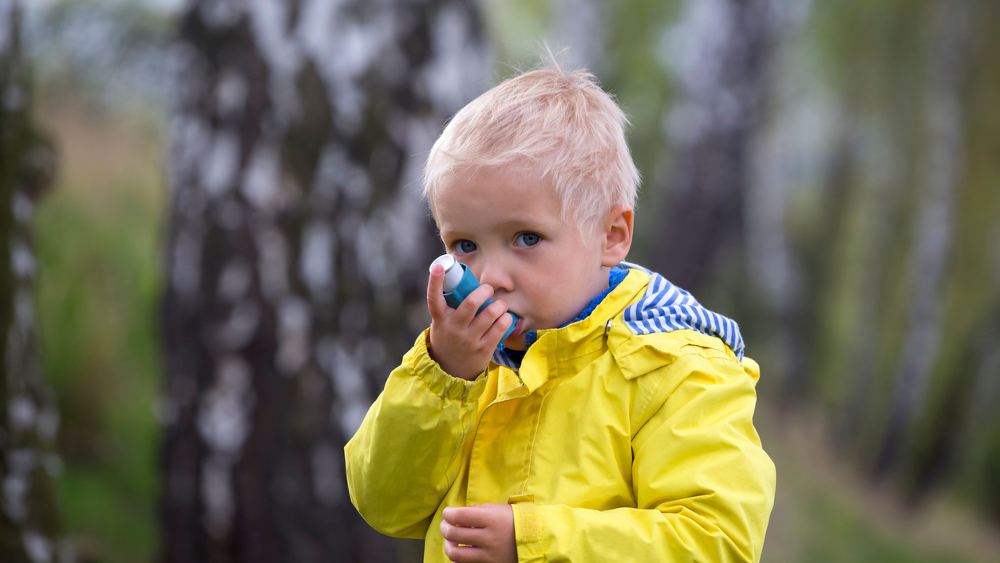 vitanetde's tweet photo. Heute ist Welt Asthma Tag: Eine Grippe oder Erkältung können Asthma bei Kindern verschlimmern. Wie Ihr Eure Kinder schützt und was Ihr beachten solltet, erfahrt Ihr hier. 
>>https://t.co/QksrZ7814U
#Asthma #Atemerkrankung #Atemnot #Kinderasthma #Lunge #Grippe #Erkältung #Kind https://t.co/2Mn8w6eVxO