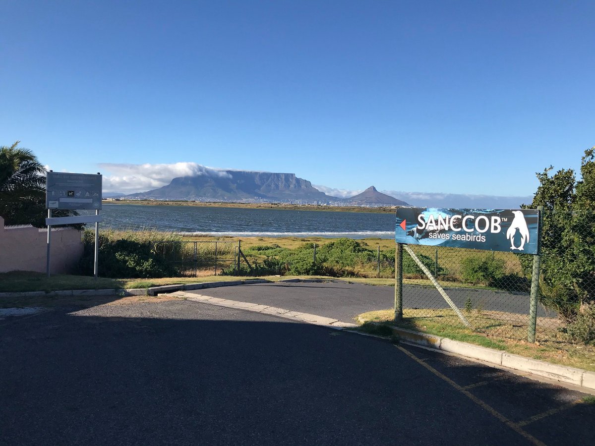 marylandzoo's tweet photo. IN THE FIELD: 👋Hi, we’re Jen and Kaitlin and we are registered veterinary technicians at the Zoo. In January, we traveled to South Africa to lend our skills to the Zoo’s long-time African penguin conservation partner, @SANCCOB. Follow along as we share about our trip today. https://t.co/QNsWepHjzE