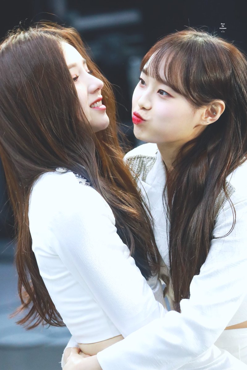 Dear_My_Chuu's tweet image. 200217 팩트인스타

🐶 뽀삐즈 최고다 🐶

#이달의소녀 #LOONA #츄 #Chuu #김지우
@loonatheworld