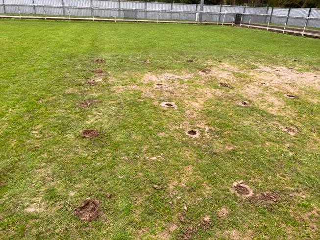 💬 "Last week we put in 40, 150mm core holes and filled them with shingle which we hope will solve the problem long term"

"We appreciate visiting clubs not making an issue of this and playing on a challenging surface and are continuing to work on the pitch this week"