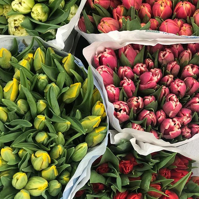 FlowersBSA's tweet photo. 🌷 🌷🌷 https://t.co/UFwGsQYLz2 https://t.co/5Z6U6FW8CI