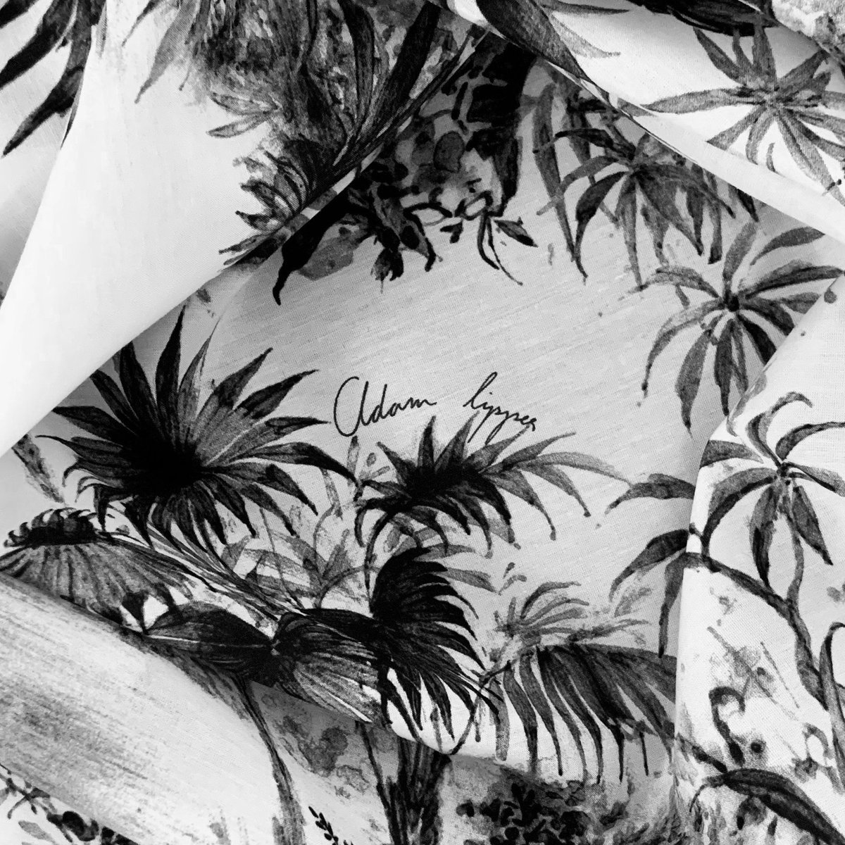 Adam Lippes tweet media