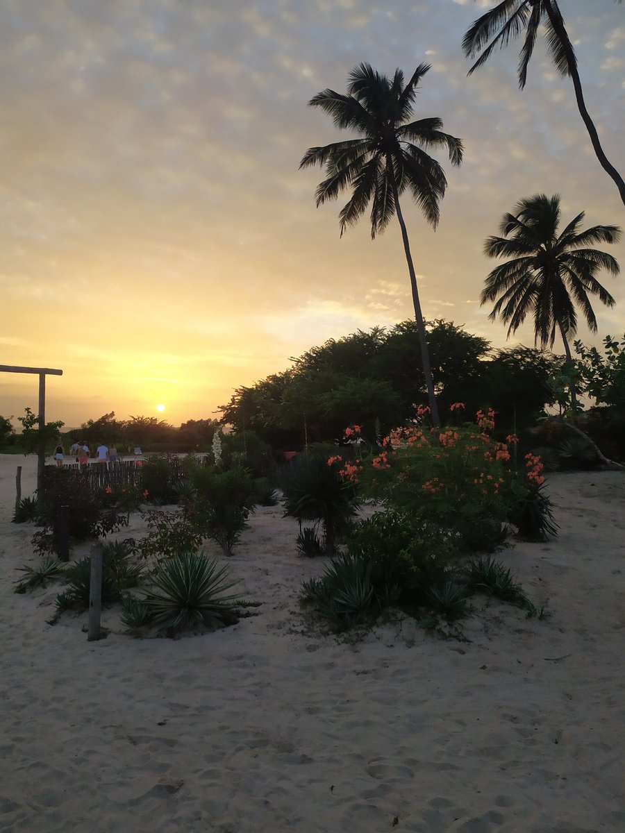 TorioGK's tweet photo. Paraíso de la puta madre #Jericocoara https://t.co/BWV3zF4ist