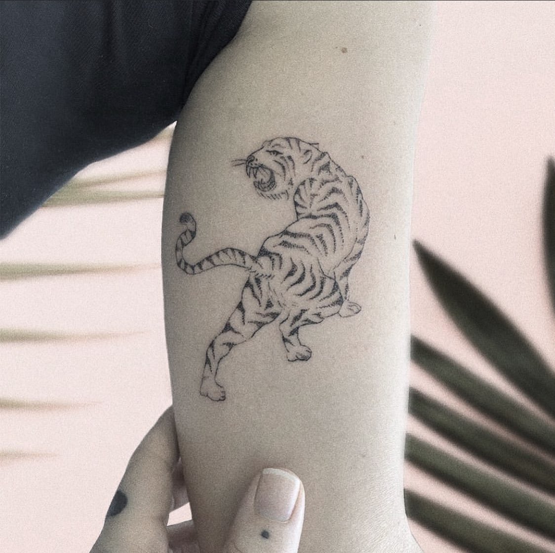 Share more than 72 minimalist tiger tattoo  thtantai2