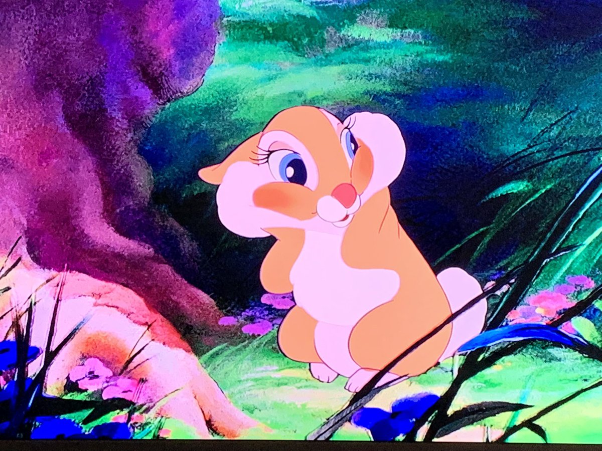 とし ミスバニーかわいい