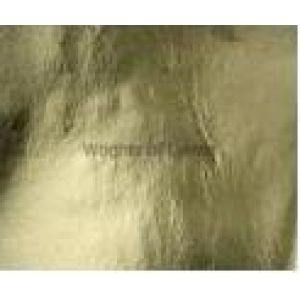 Wrights of Lymm are delighted to have Standard Imitation Leaf Shade 2 in both Loose and Transfer available at a discounted rate , the Loose is available at £0.95 and the Transfer is available at £1.25. 

stonehouses.co.uk/special-offers…