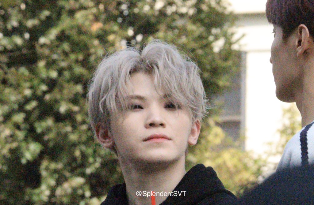 SplendentSVT's tweet photo. 190928 음중미팬

추억이군...보고싶네..

#우지 #디노 #WOOZI #DINO #세븐틴 #SEVENTEEN https://t.co/9JlOzQR4aL