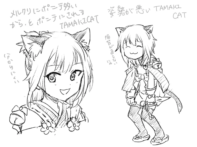 TAMAKI CAT 