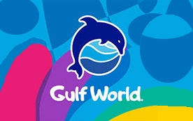 wildlifetrad's tweet photo. We are very happy to welcome in our newest partner, Gulf World by Dolphin Discovery.  One of two new locations in Florida that we opened in February.  Welcome to the pod!  #dolphindiscovery #gulfworldmarinepark https://t.co/UWad698TLT