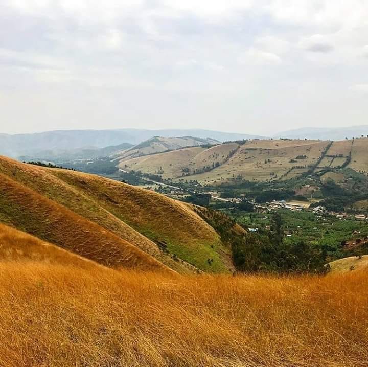 Uganda Lodge tweet media