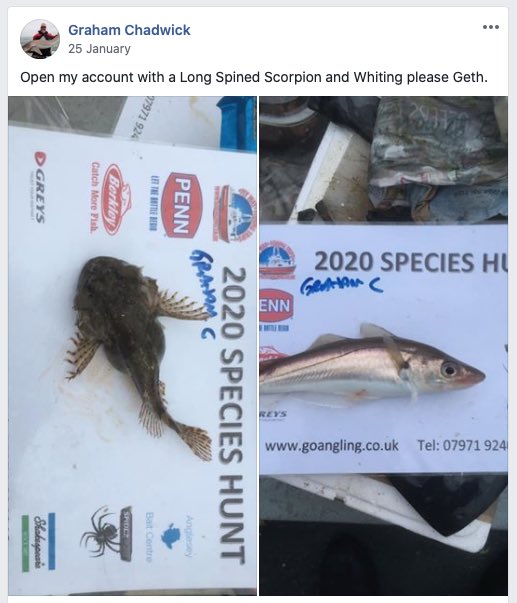 It’s been a month since we started our new fun competition the My Way 2 Species Hunt 2020. Read more here 

goangling.co.uk/species-hunt-r…

#holyhead #anglesey #fishing #specieshunt #portdinorwic #angling #menaistrait #menai #wales #cymru #angleseyhour 

07971 924046