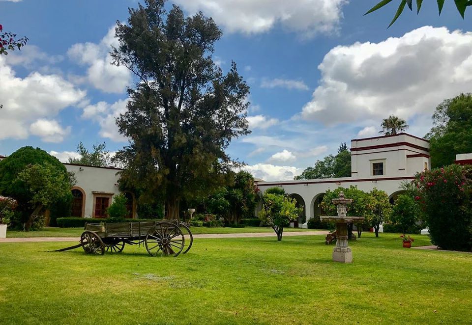 QroTravel's tweet photo. #MartesDeBodas
Las antiguas haciendas coloniales son hoy espacios predilectos para la organización de bodas y eventos por su particular belleza.
En el municipio de El Marqués, Hacienda Amazcala es una de ellas.
Anímate a conocerla.
#QuerétaroTePoneDeBuenas #QroOrgulloDeMx. https://t.co/GWxzhKvbFs