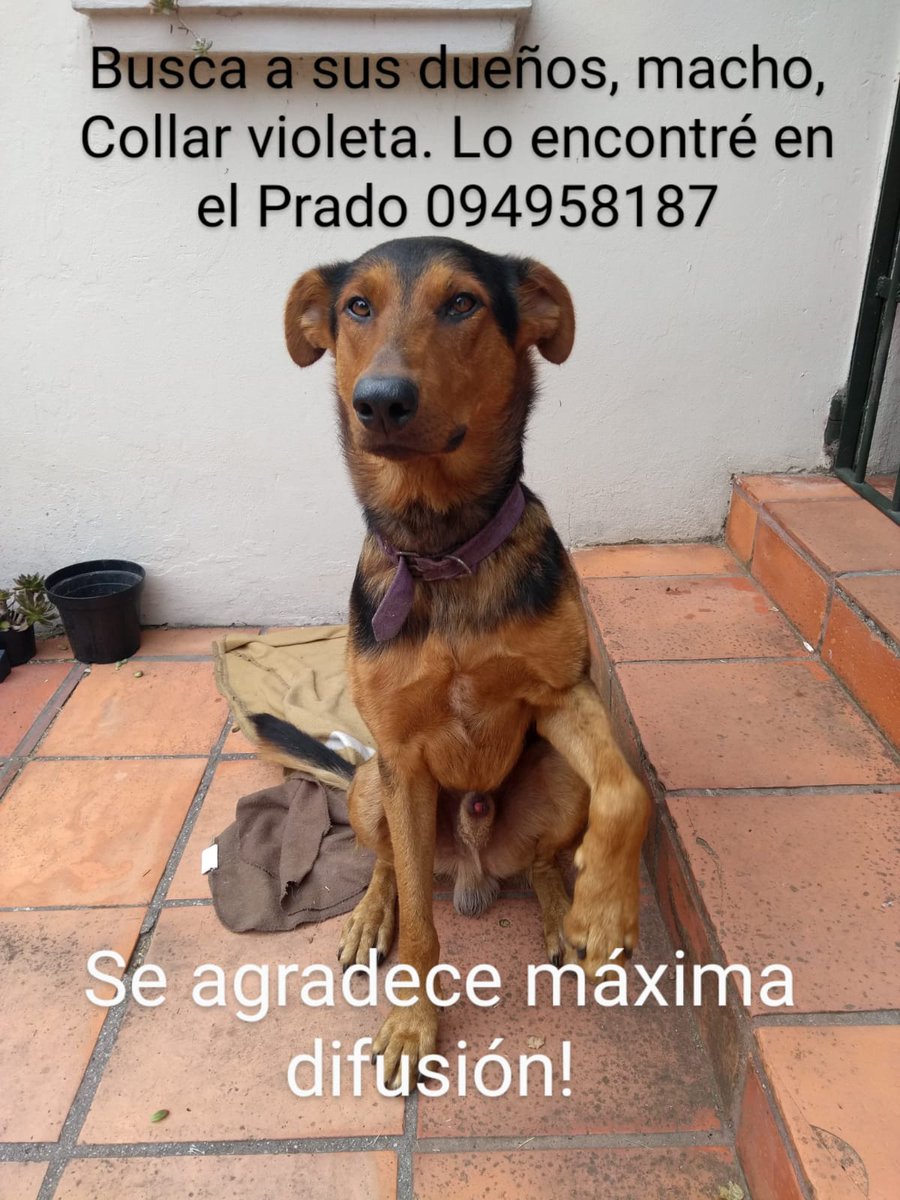 <a href="/chef_memes/">chef_memes</a> <a href="/diegodelacurva/">Min. Diego González González</a>