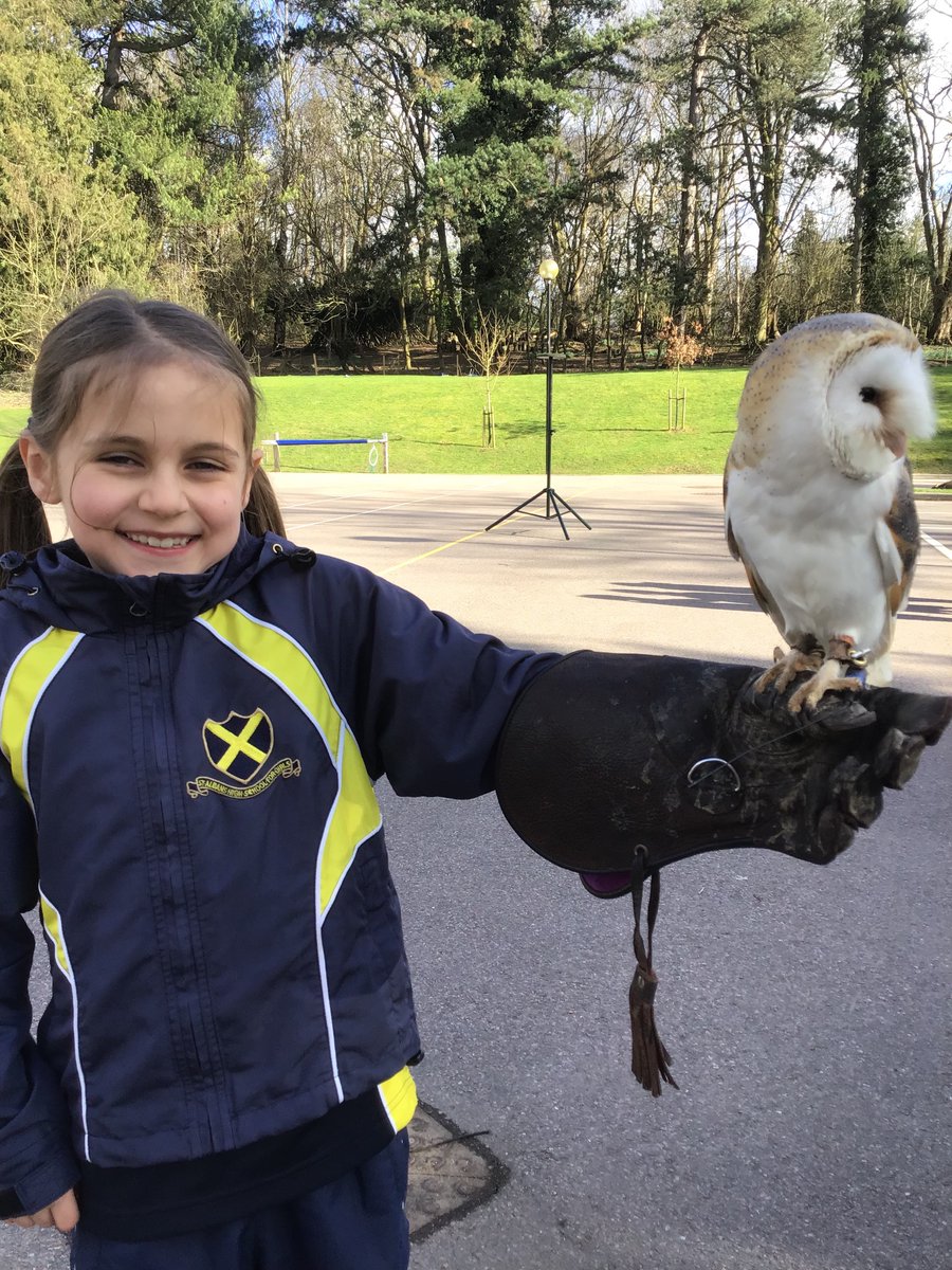 STAHSPrep's tweet photo. 3m have had an amazing afternoon with Domino the owl and Bubbles the Barn Owl https://t.co/V8VrpKmuBi
