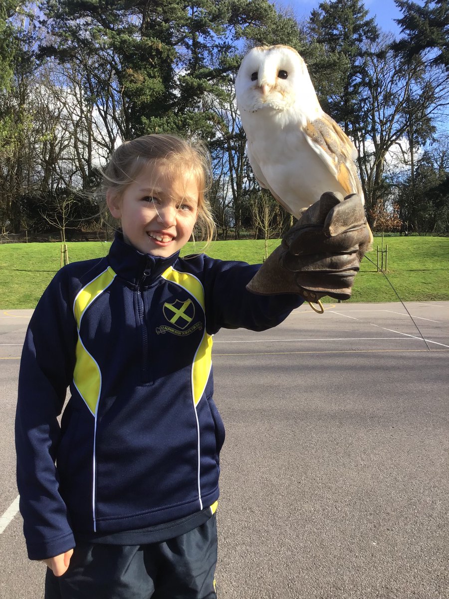 3m have had an amazing afternoon with Domino the owl and Bubbles the Barn Owl