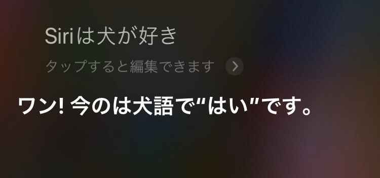 久々にSiriちゃん起動したらだいぶ喋るので驚いたぞ!! 