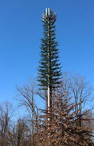 The Fusion of Art and Science Converge at 5G.

qorvo.com/design-hub/blo…