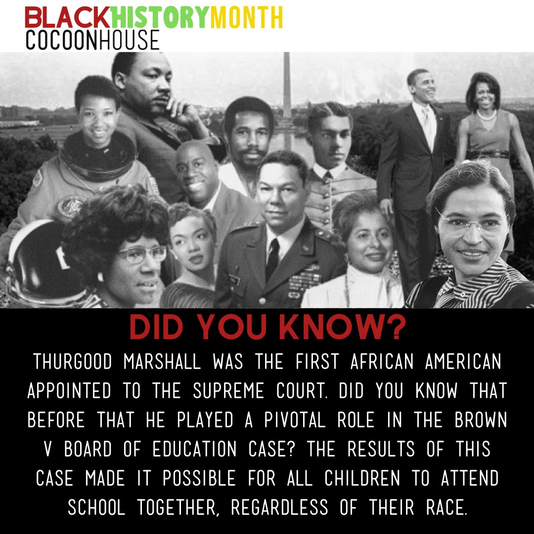 Cocoon House (@cocoon_house) on Twitter photo 