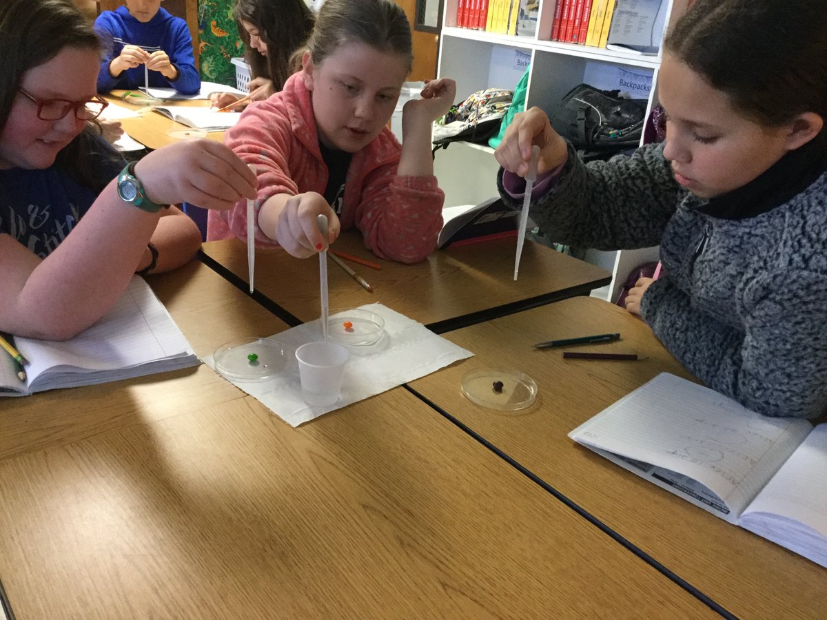 Jeri Batchelor tweet media