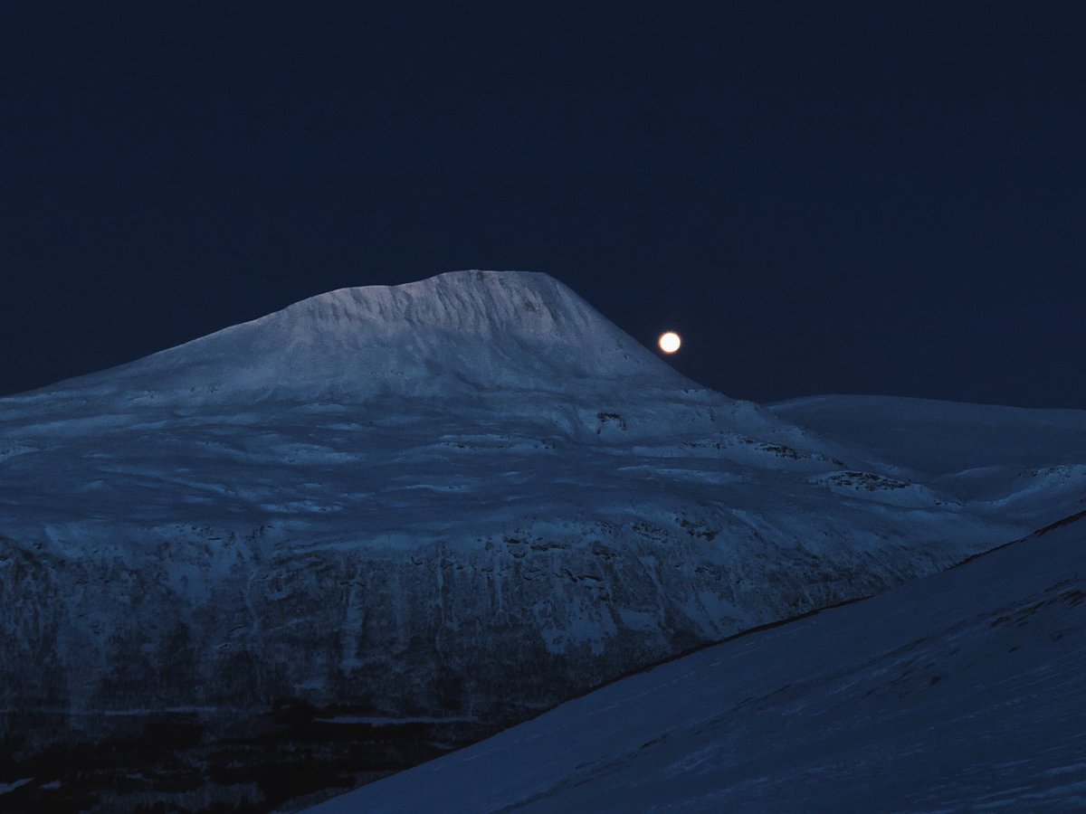 Tromso Outdoor tweet media
