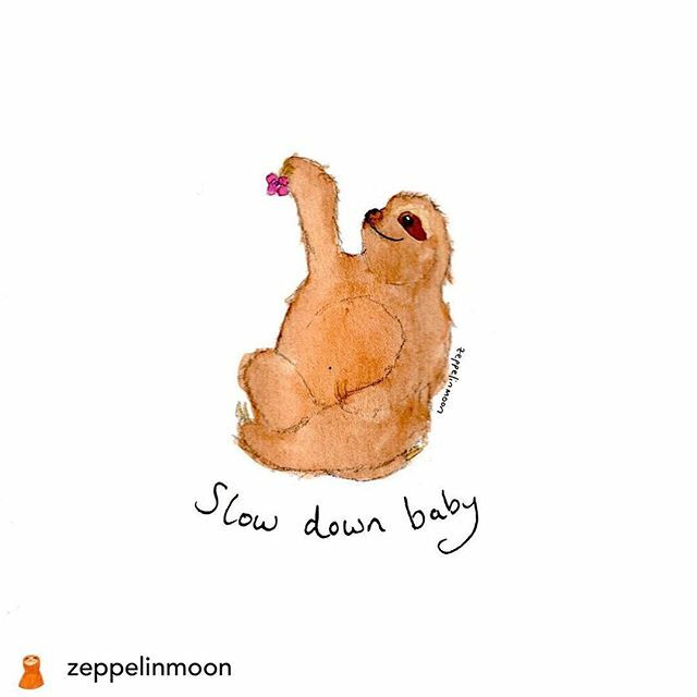 Ca' del Brado tweet media