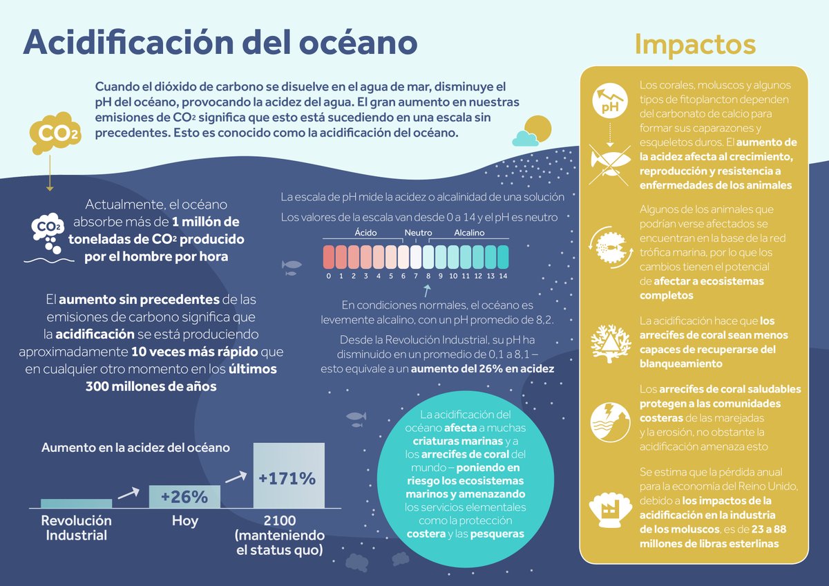 Cuando el dióxido de carbono se disuelve en el agua de mar, disminuye el pH del océano, provocando la acidez del agua. El aumento en emisiones de CO2 significa que esto está sucediendo en una escala sin precedentes.

Aprendé más sobre el tema con esta gráfica de OneOcean 🌊