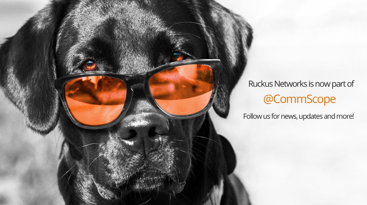 ruckusnetworks's tweet photo. Did you know that Ruckus is now part of CommScope? Be sure to follow us @CommScope for information on our solutions that are powering progress. #NowMeetsNext https://t.co/Ol78sjZxwY