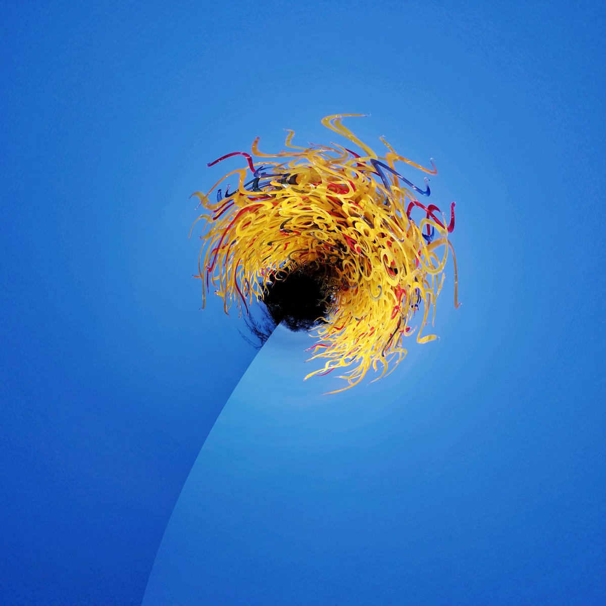 Kercal's tweet image. #Chihuly-lion :) #androidart #LittlePlanet #Snapseed #Seattle @qualcomm